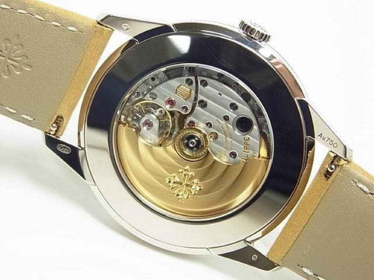 PATEK PHILIPPE Calatoraba black Gradation WG 5226G-001 Herre 193255844 hannari-shop