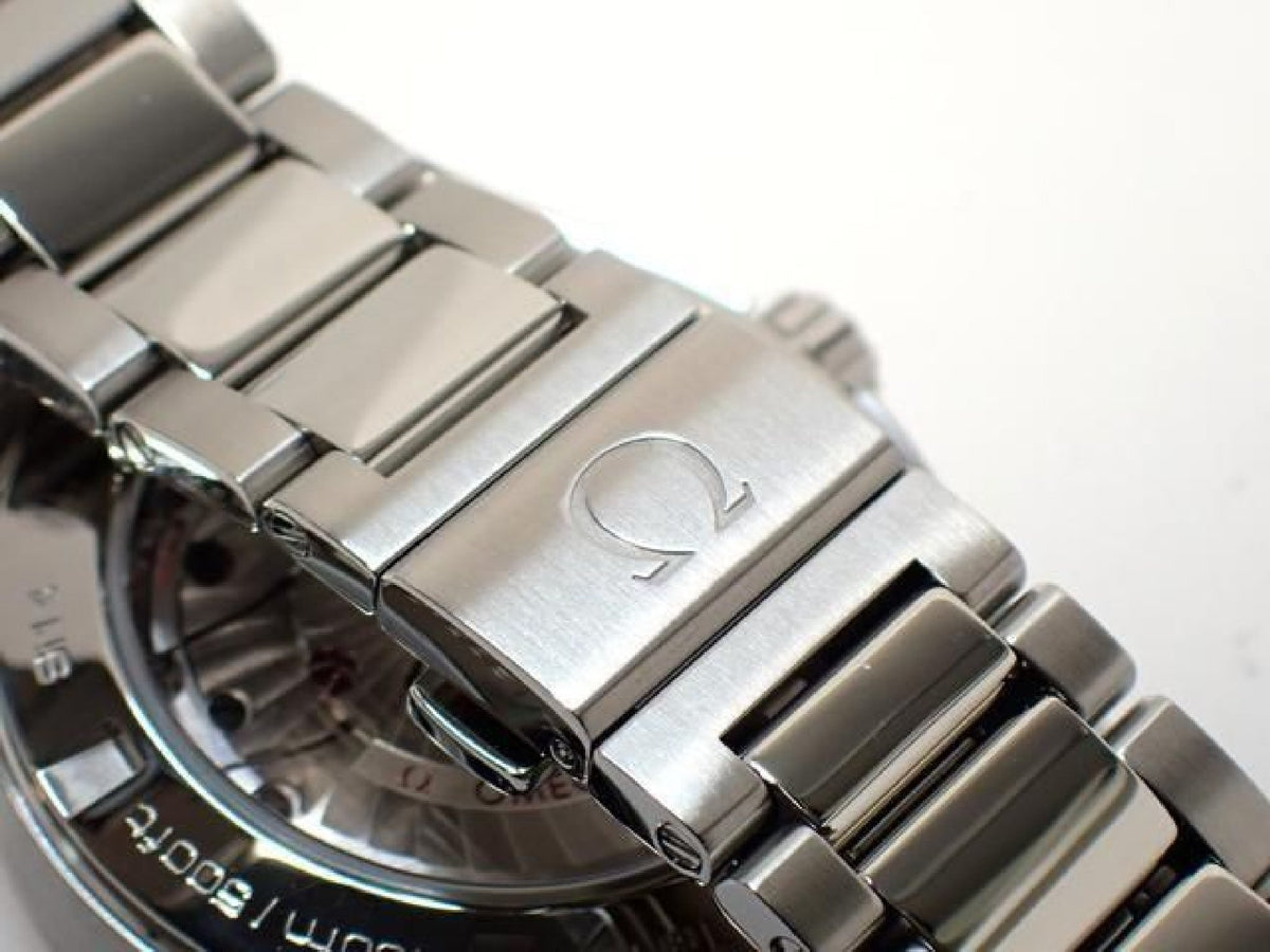 OMEGA AquaTerra Master Co-Axial 41.5 MM '17 Uomo 193263466 hannari-shop